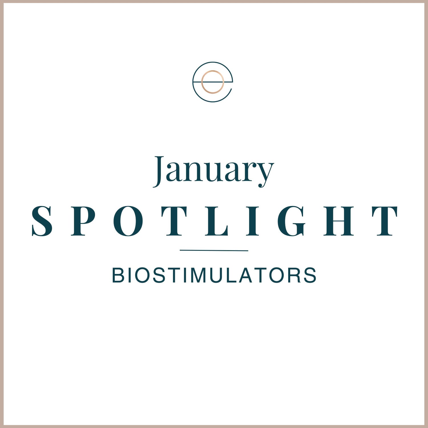 january spotlight featured image